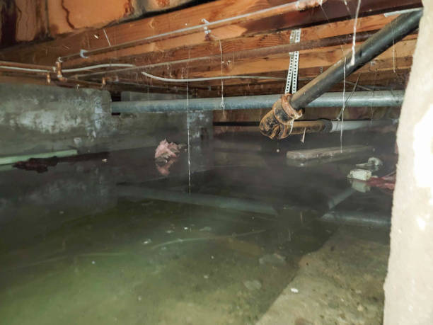 Best Ceiling water damage repair  in Fairhope, PA