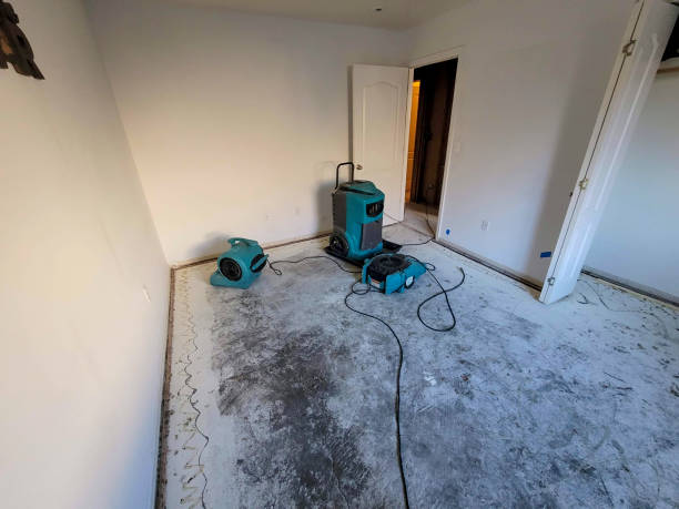 Best Residential water damage restoration  in Fairhope, PA
