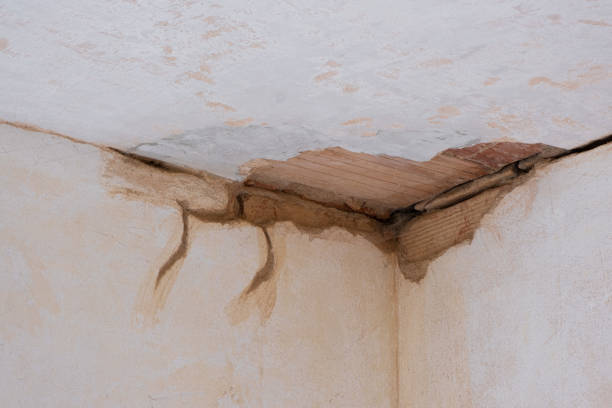 Best Flood damage cleanup  in Fairhope, PA