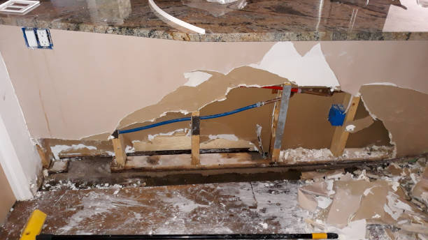 Best Carpet water damage restoration  in Fairhope, PA