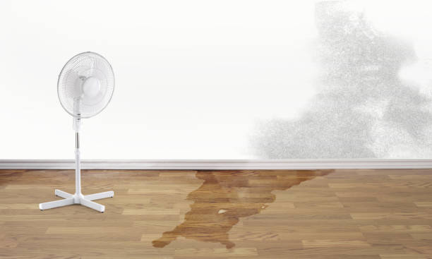  Fairhope, PA Water damage restoration Pros