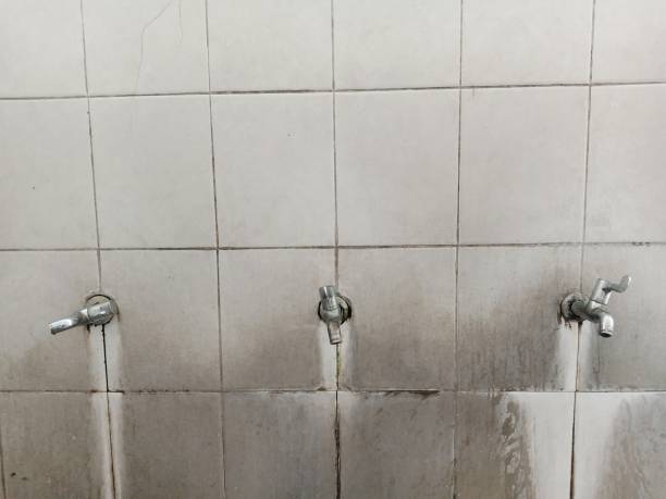 Best Mold removal after water damage  in Fairhope, PA
