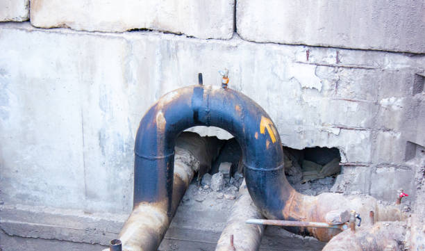 Best Professional water damage repair  in Fairhope, PA