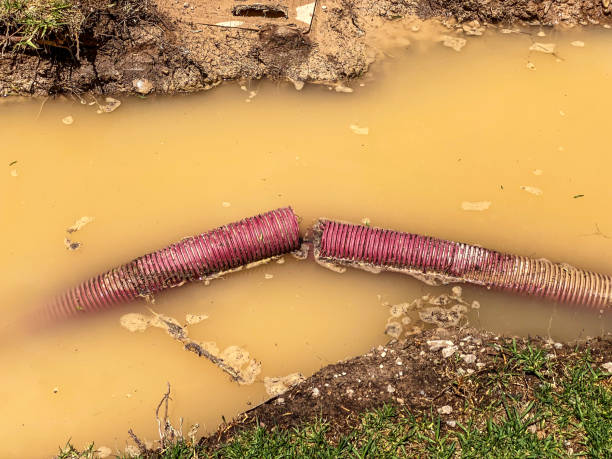 Best Basement water damage restoration  in Fairhope, PA