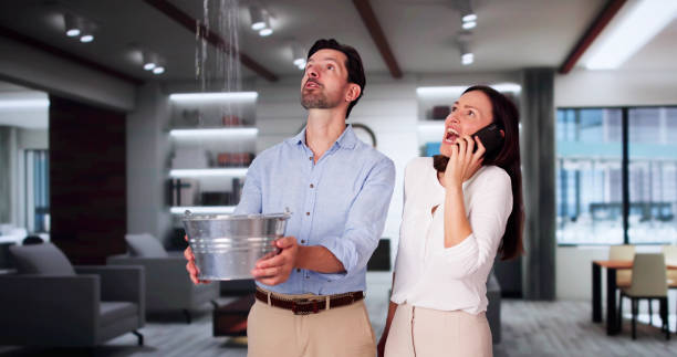 Best Water damage cleanup near me  in Fairhope, PA